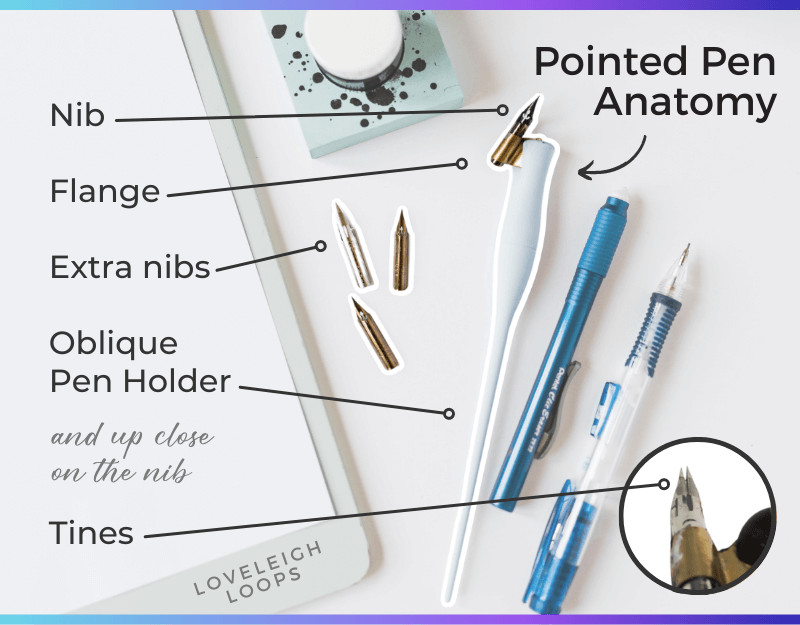 Anatomy of a pointed pen: pointed pen holder, flange, nibs and tines